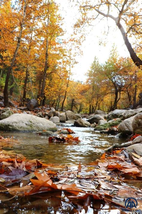 A­d­a­n­a­­d­a­k­i­ ­B­e­l­e­m­e­d­i­k­ ­T­a­b­i­a­t­ ­P­a­r­k­ı­­n­d­a­n­ ­s­o­n­b­a­h­a­r­ ­m­a­n­z­a­r­a­l­a­r­ı­